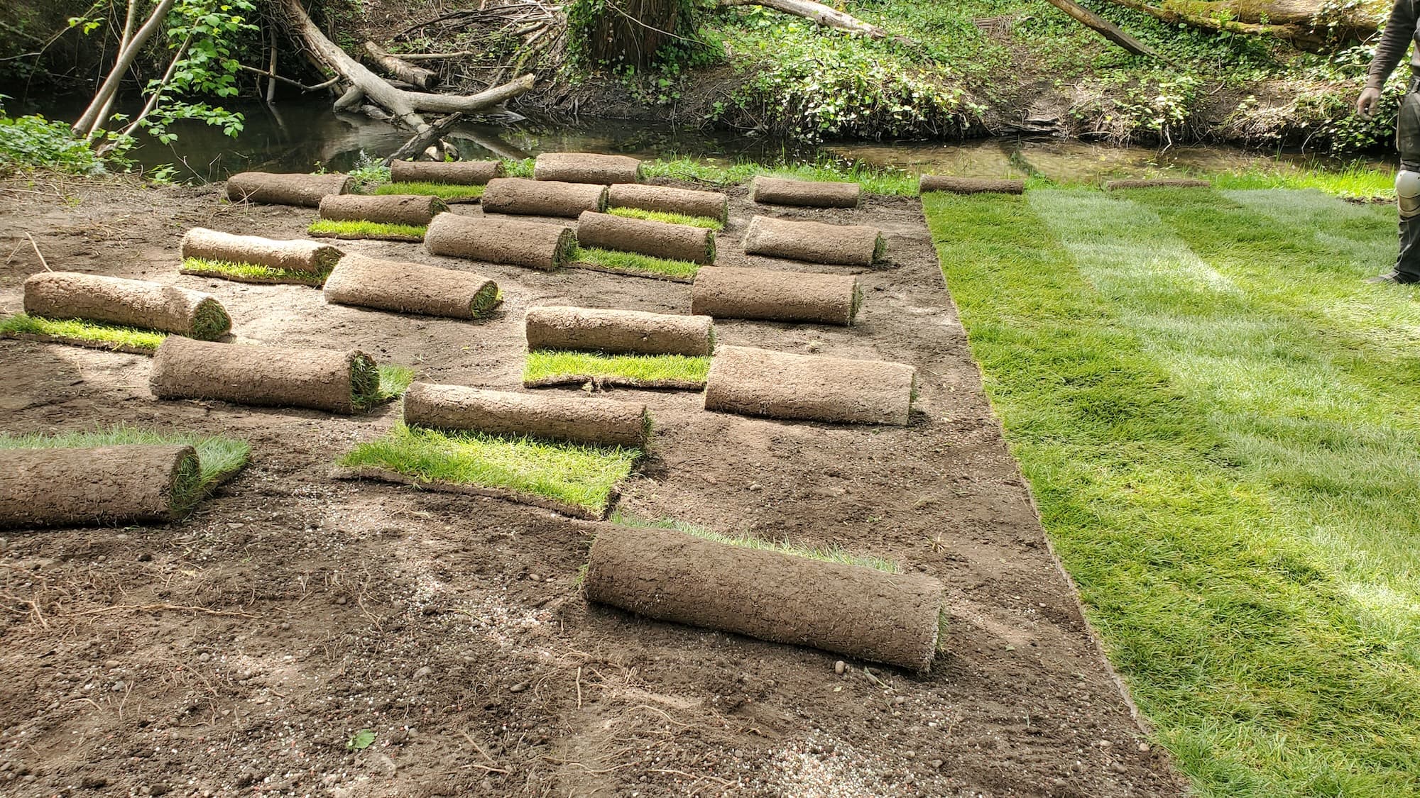 Artificial Grass Removal And Disposal in Euless, TX